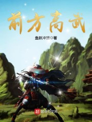 前方高武免费阅读