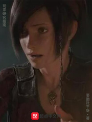 玩家研究指南下载